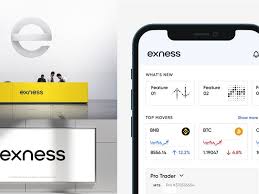 Discovering the Potential of Exness Online Broker Discovering the Potential of Exness Online Broker